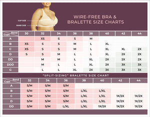 bra sizes visual chart